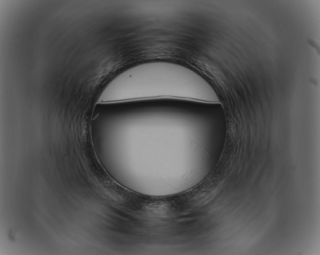 X0000092240551200709141005