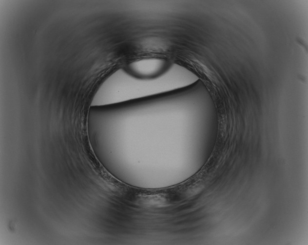 X0000092240553200709141006
