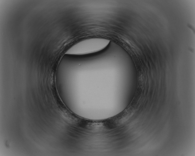 X0000092240554200709141006