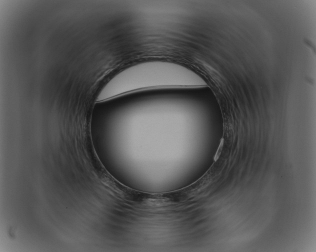 X0000092240556200709141006