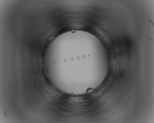 X0000092240557200709141006