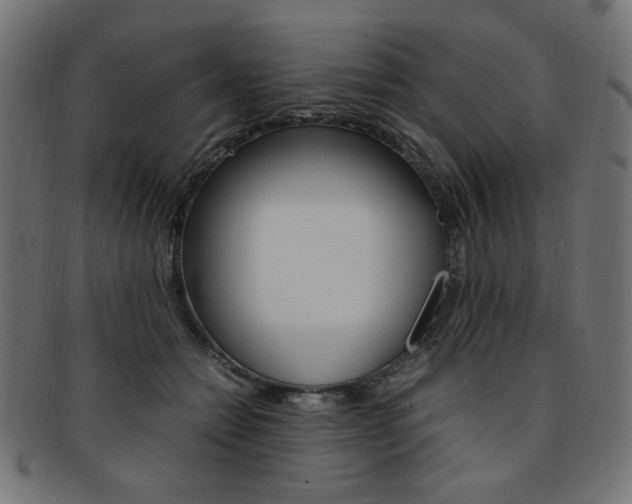 X0000092240558200709141006