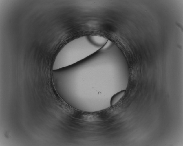 X0000092240561200709141006
