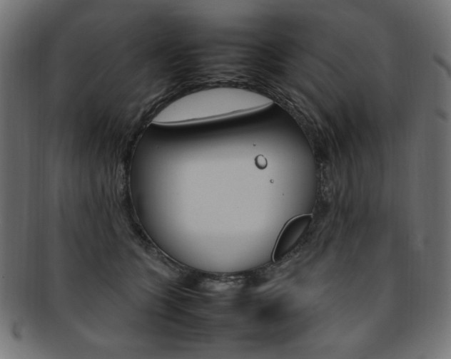 X0000092240563200709141006