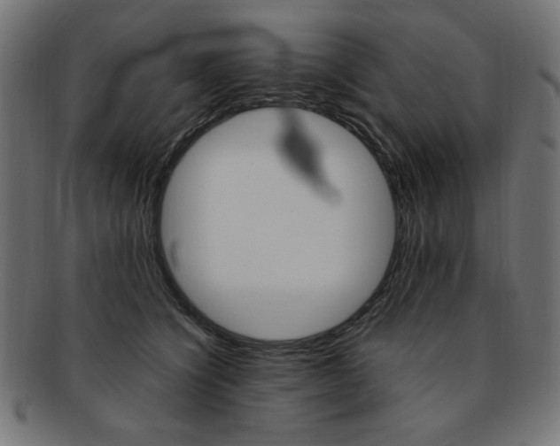 X0000092240564200709141006
