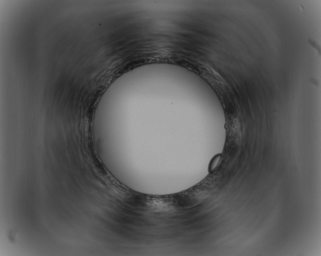 X0000092240565200709141006