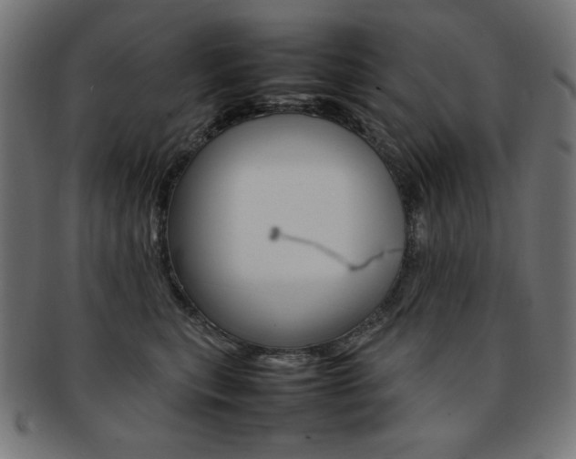 X0000092240567200709141006