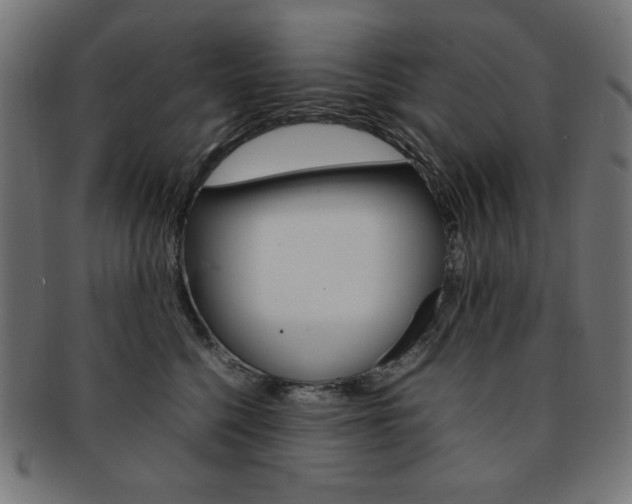 X0000092240568200709141006