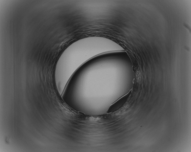 X0000092240570200709141006