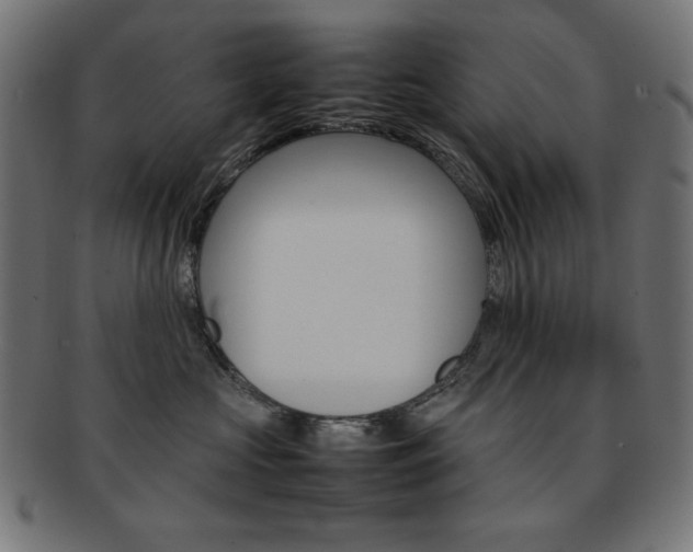X0000092240573200709141006