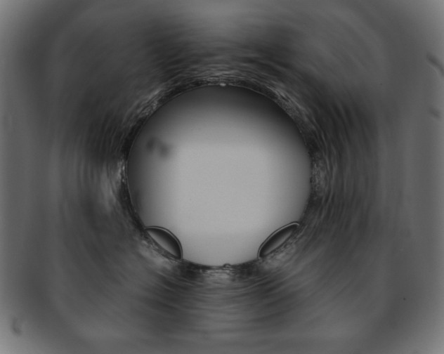 X0000092240574200709141006