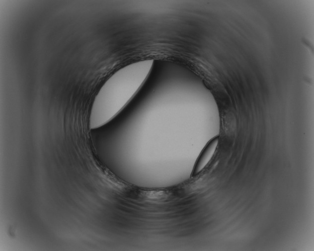 X0000092240575200709141006