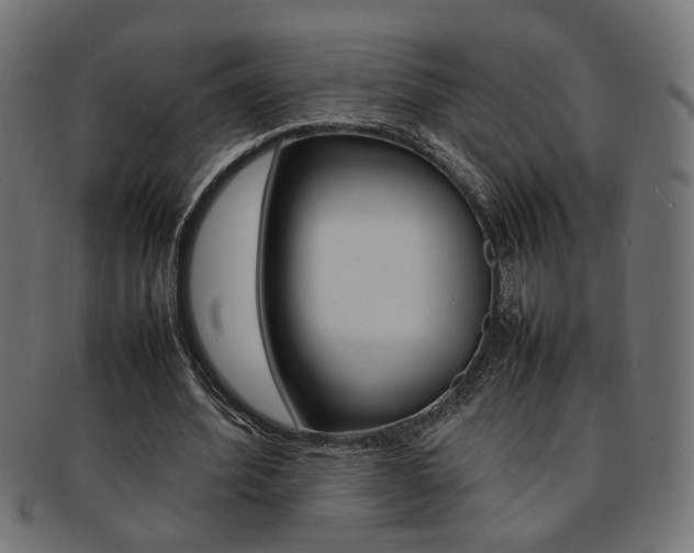 X0000092240580200709141005