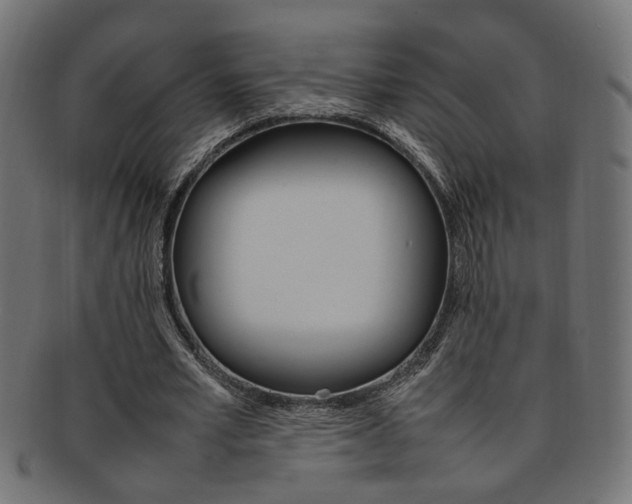 X0000092240581200709141005