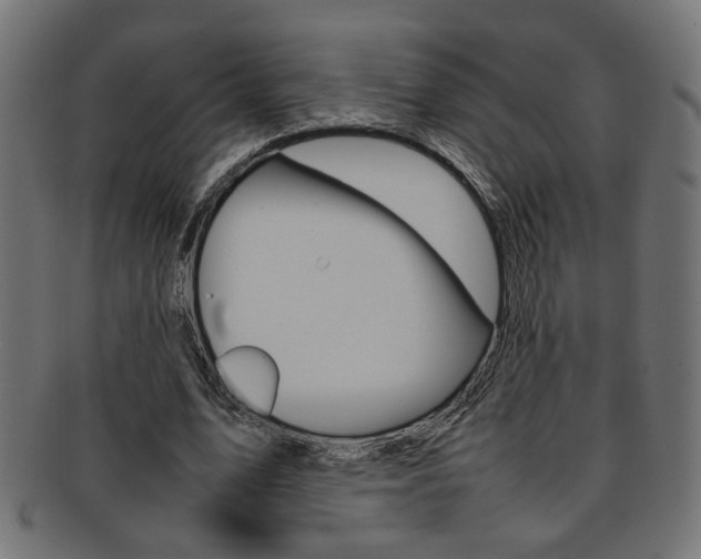 X0000092240583200709141005