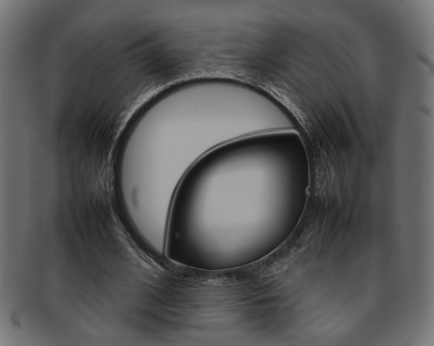 X0000092240584200709141005