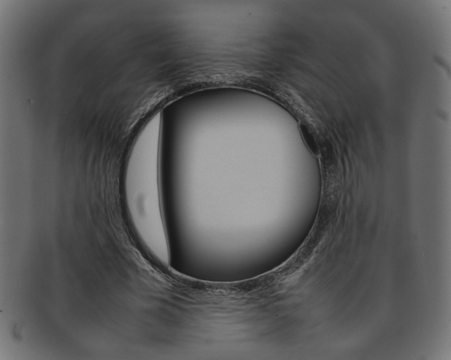 X0000092240585200709141005