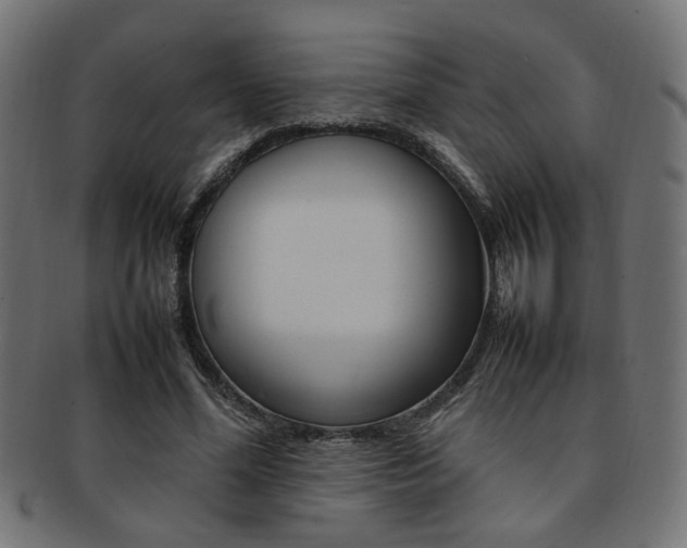 X0000092240588200709141005