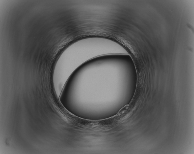 X0000092240589200709141005