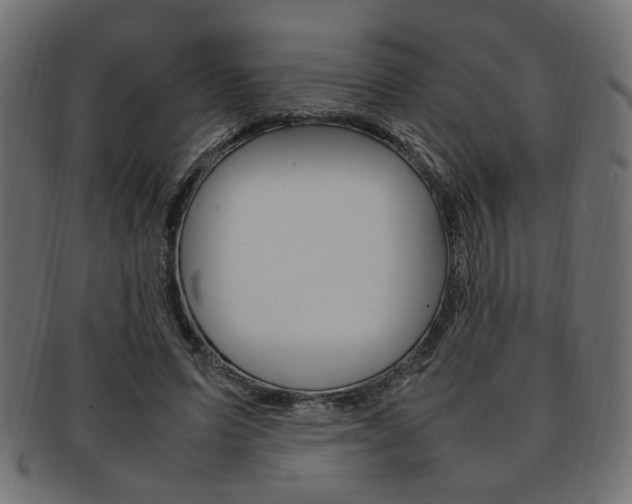 X0000092240591200709141005
