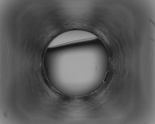 X0000092240593200709141005