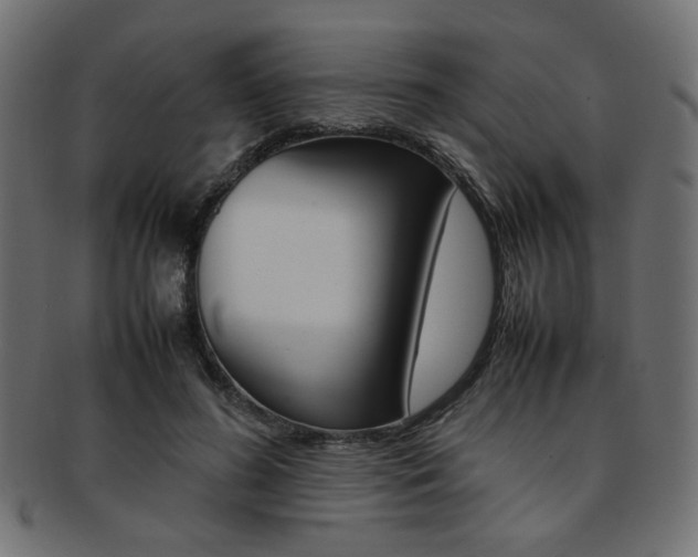 X0000092240596200709141005