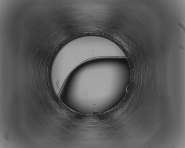 X0000092240597200709141005