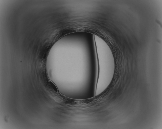 X0000092240601200709141005