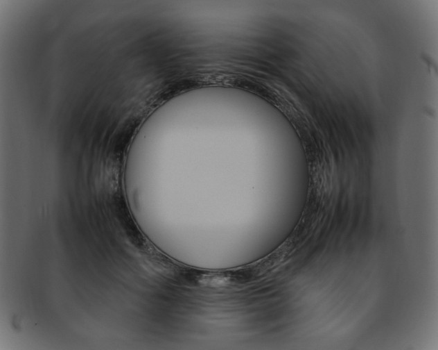 X0000092240602200709141005