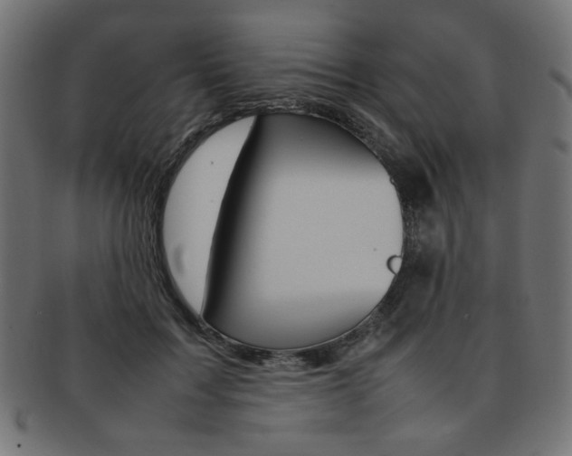 X0000092240603200709141005