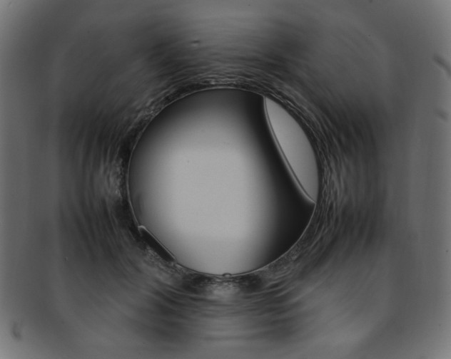 X0000092240604200709141005