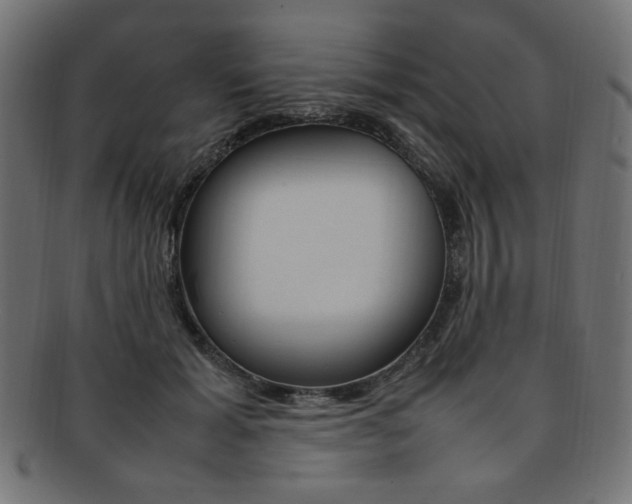 X0000092240605200709141005