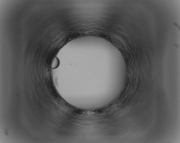 X0000092240607200709141005