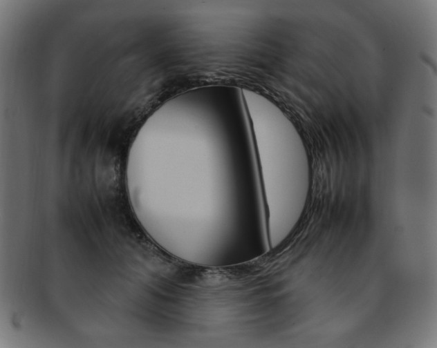 X0000092240608200709141005
