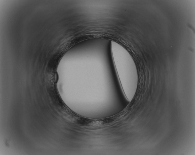 X0000092240609200709141005