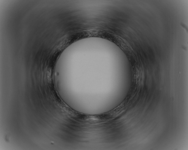 X0000092240610200709141005