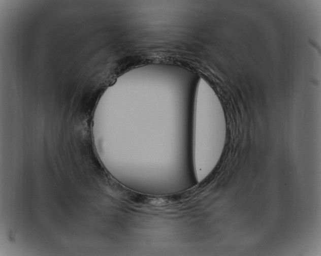 X0000092240611200709141005