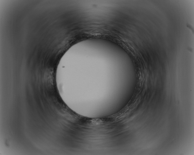 X0000092240612200709141005