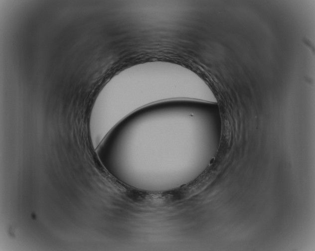 X0000092240613200709141005