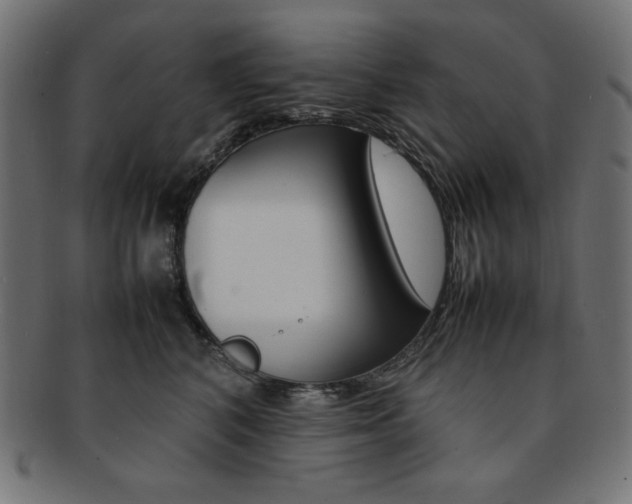 X0000092240616200709141005
