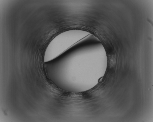 X0000092240619200709141005