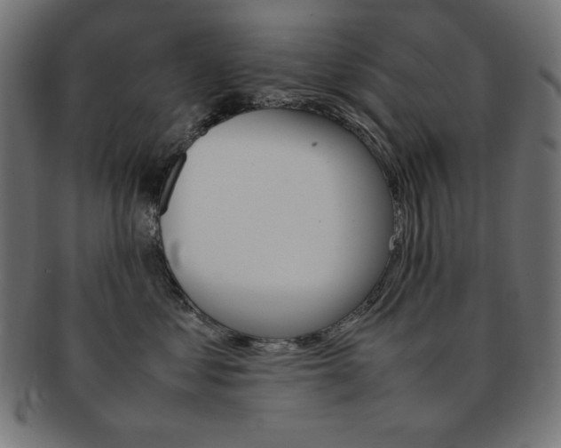 X0000092240621200709141005