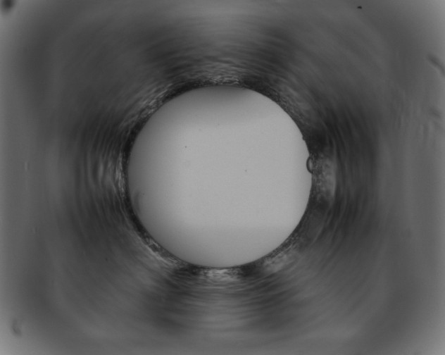 X0000092240622200709141005