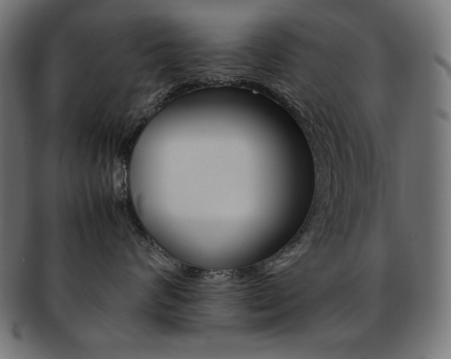 X0000092240624200709141004