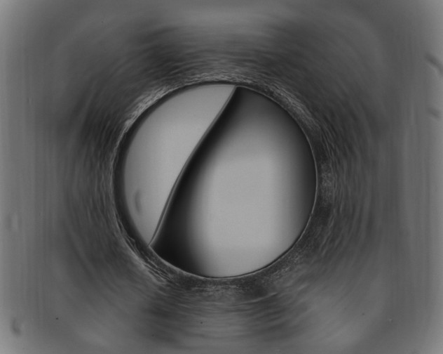 X0000092240626200709141004