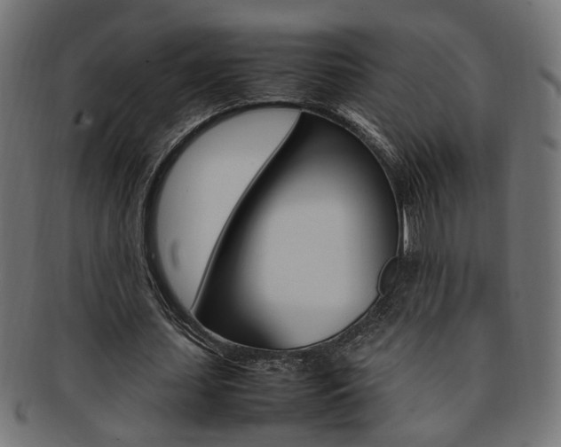 X0000092240627200709141004