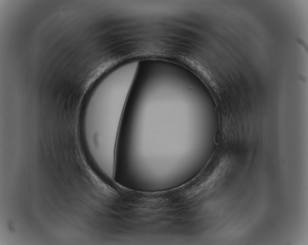 X0000092240629200709141004