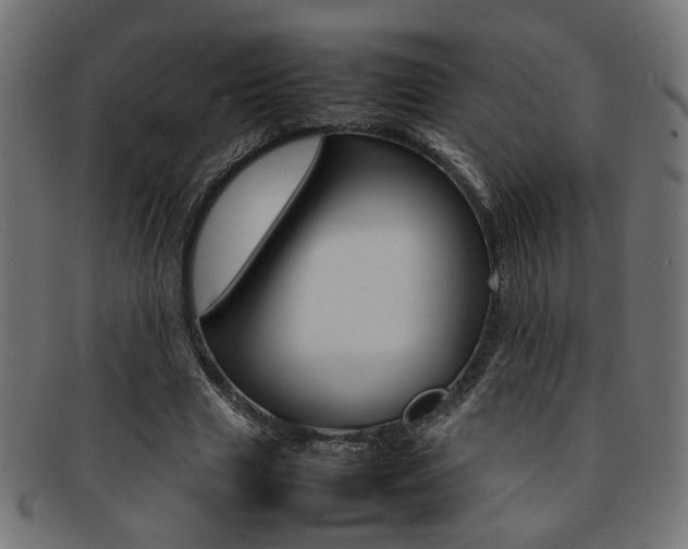 X0000092240633200709141004