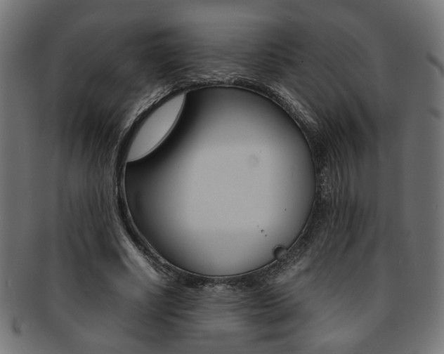 X0000092240634200709141004
