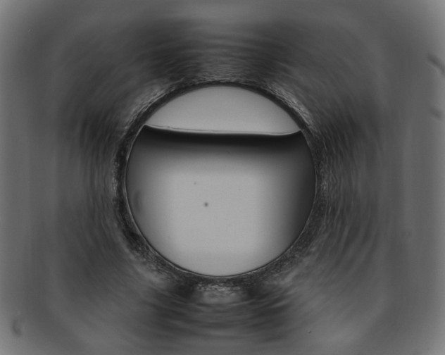 X0000092240635200709141004